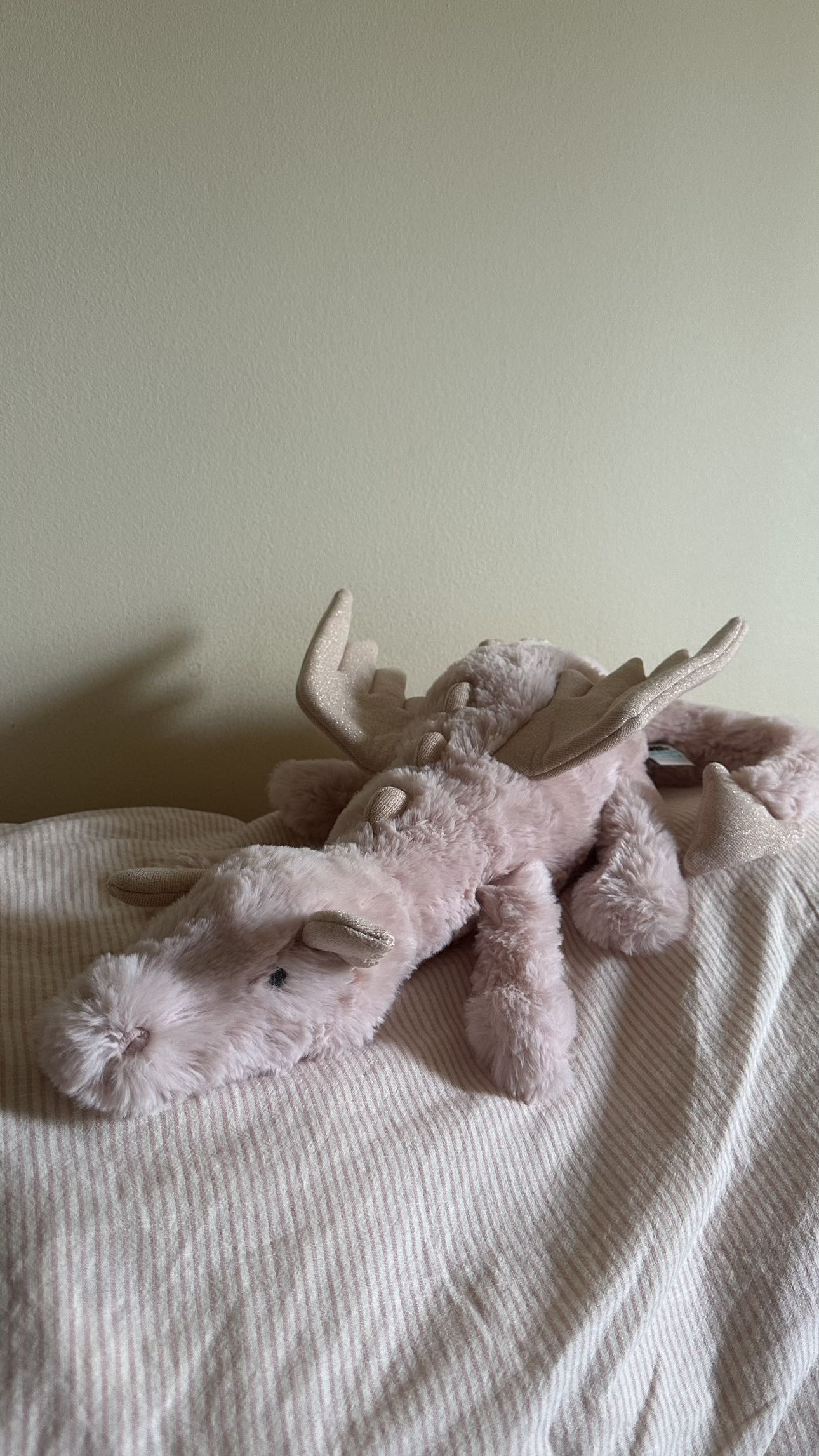 mira.0004 snapchat image archive image