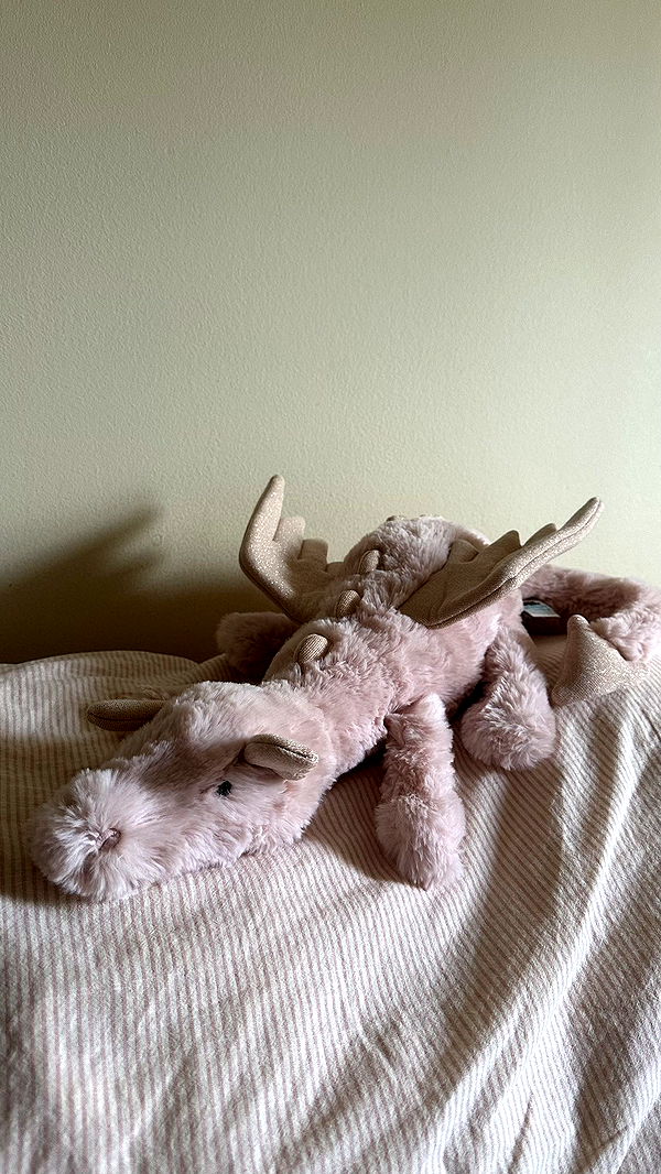 mira.0004 image ~ Altpins