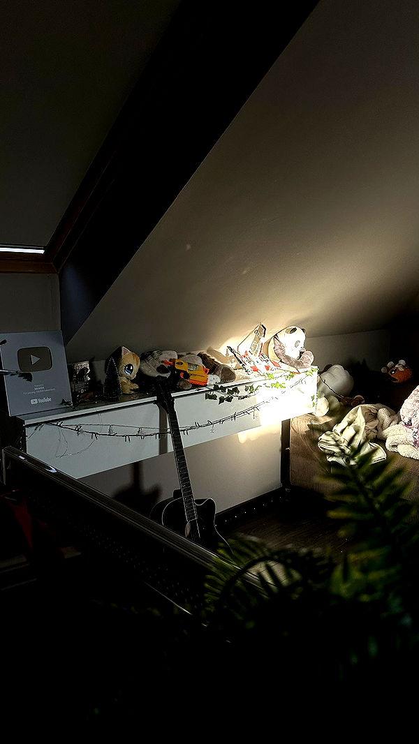 mira.0004 image ~ Altpins