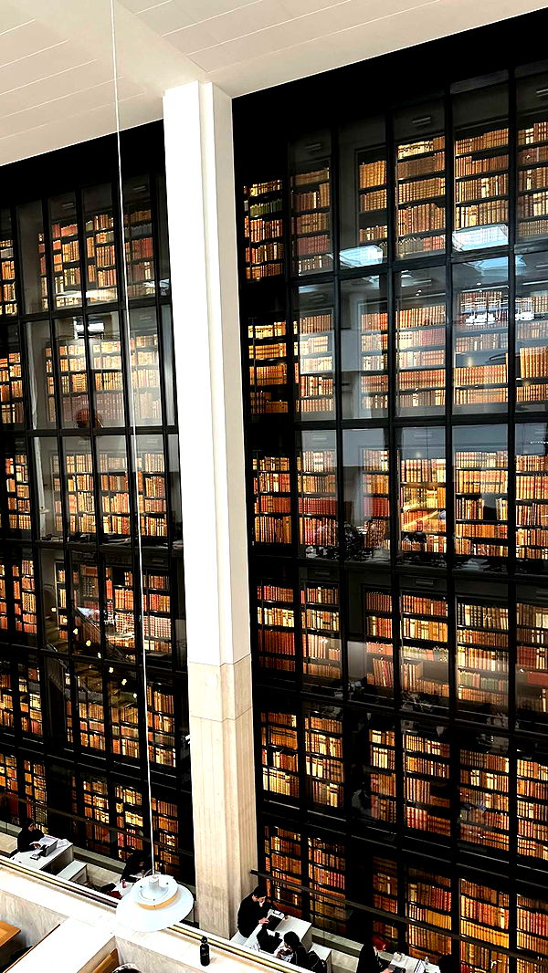 mira.0004 image ~ Altpins