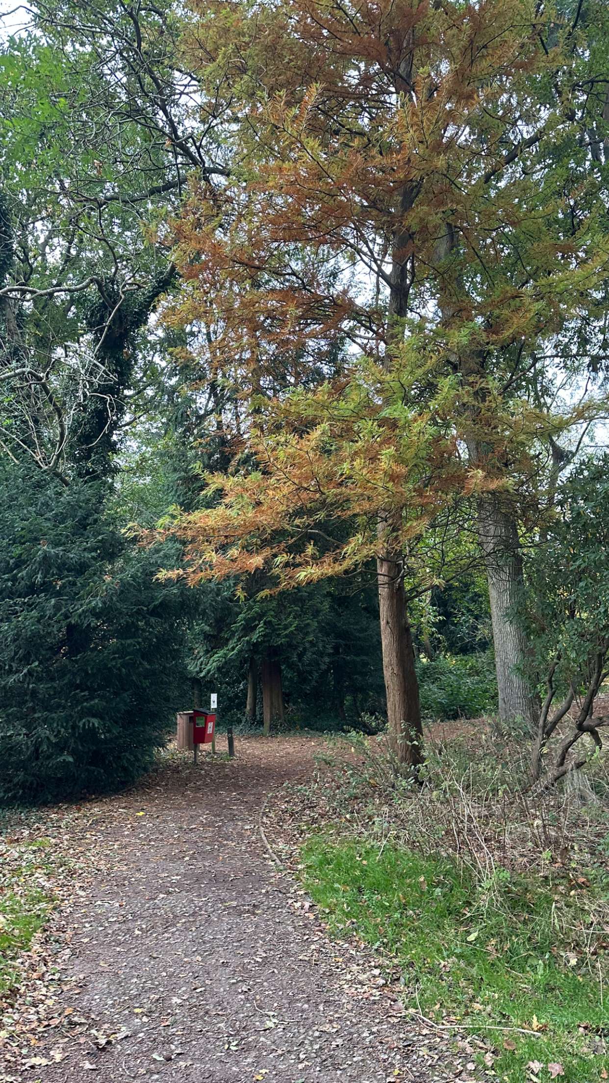 mira.0004 snapchat image archive image