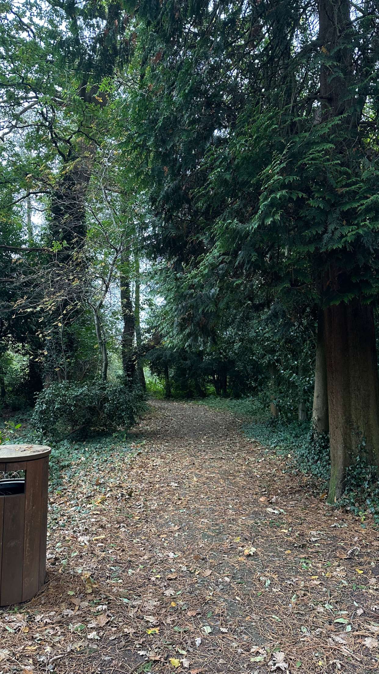 mira.0004 snapchat image archive image