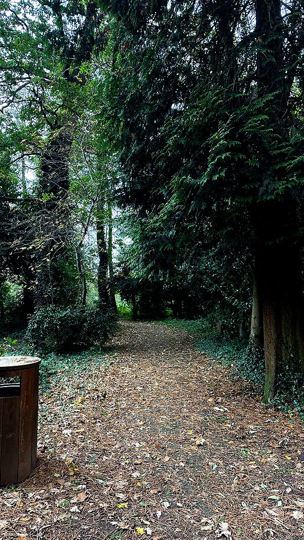 mira.0004 image ~ Altpins