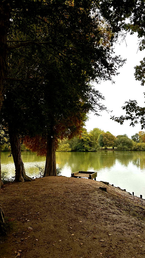 mira.0004 image ~ Altpins