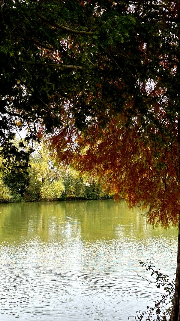 mira.0004 image ~ Altpins