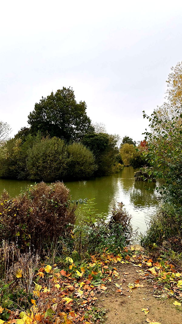 mira.0004 image ~ Altpins