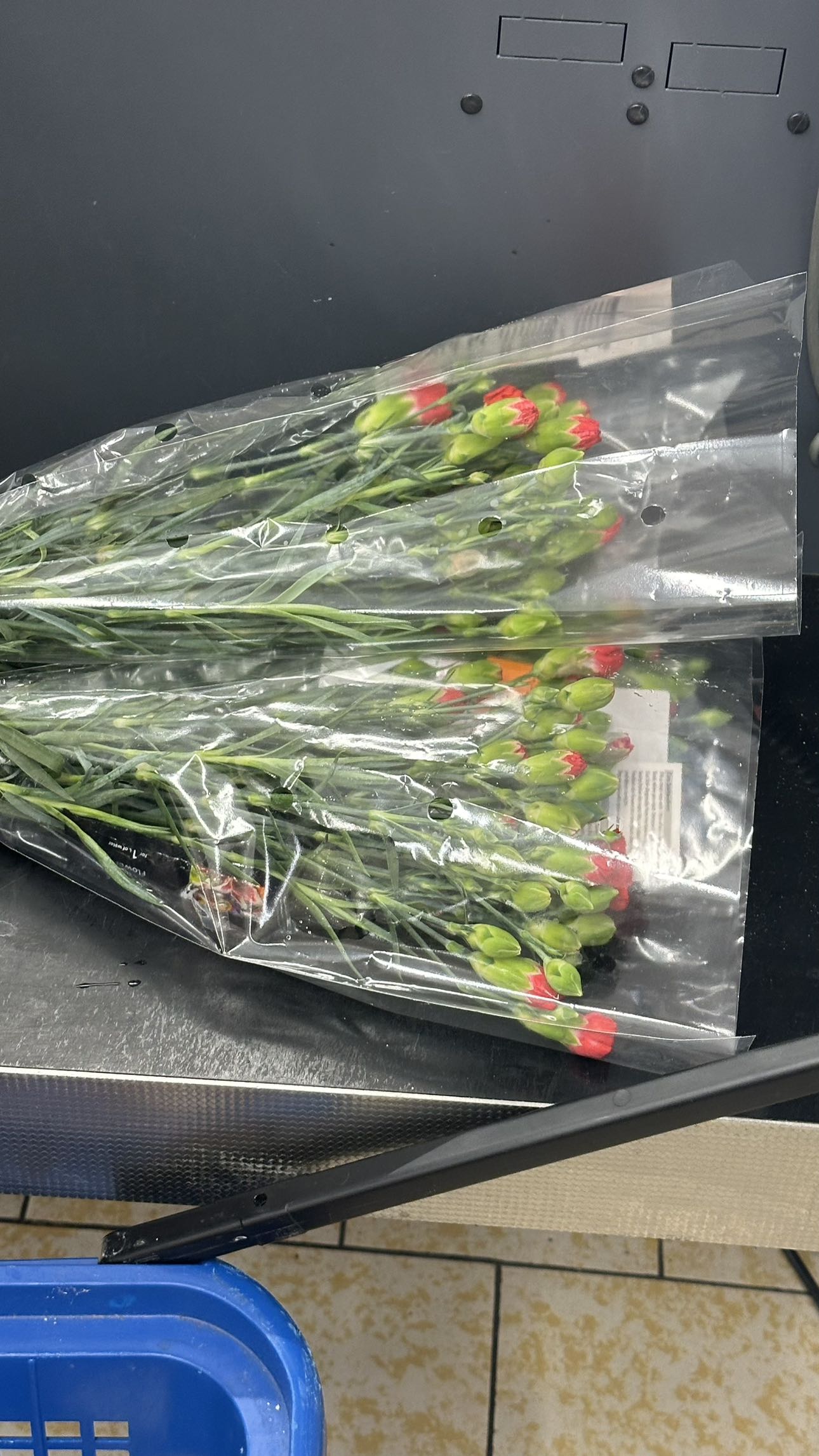 mira.0004 snapchat image archive image