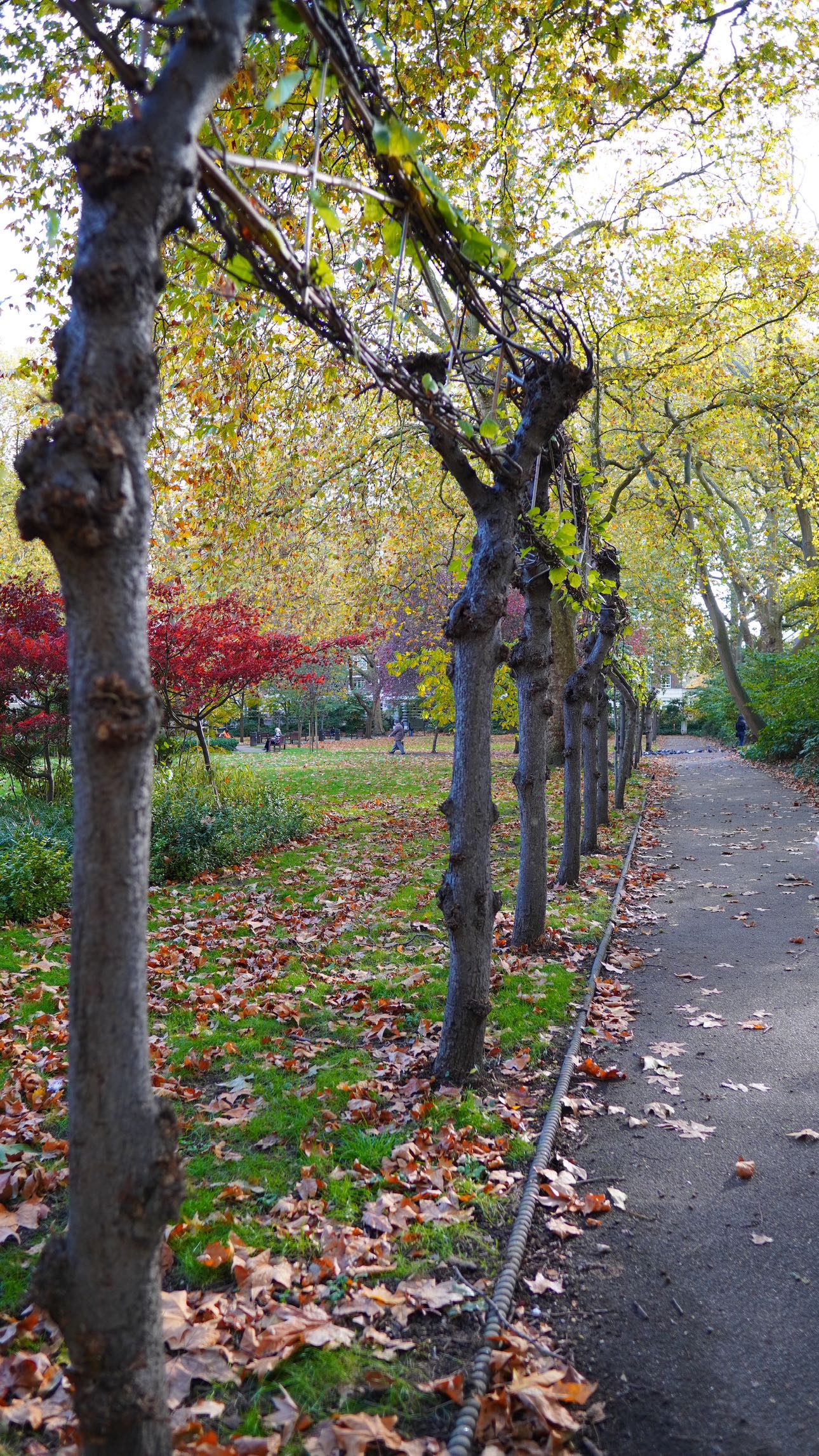 mira.0004 snapchat image archive image