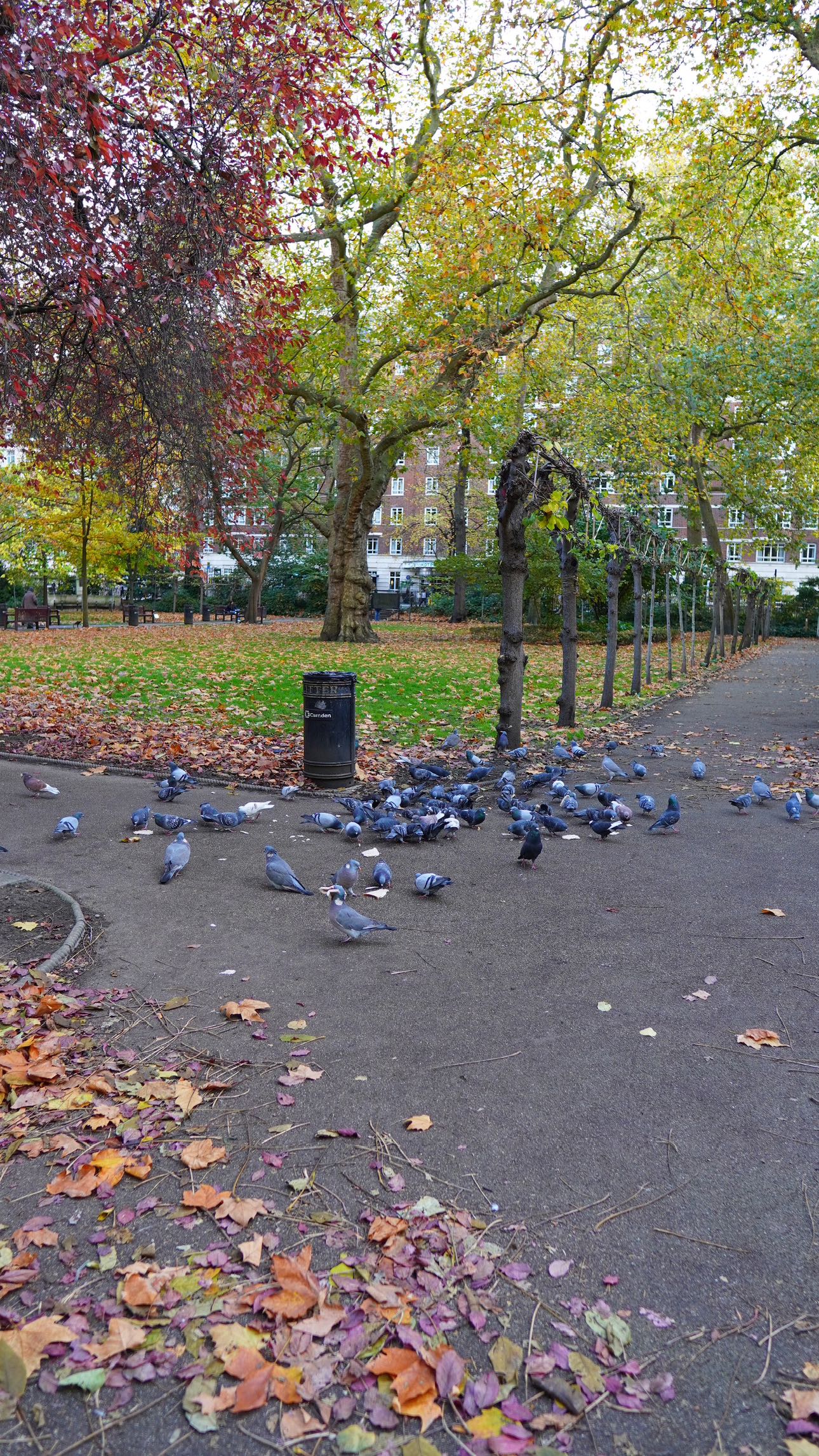 mira.0004 snapchat image archive image