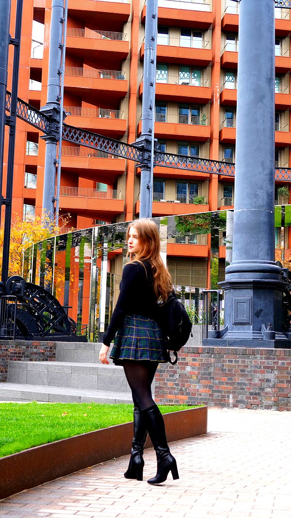 mira.0004 image ~ Altpins