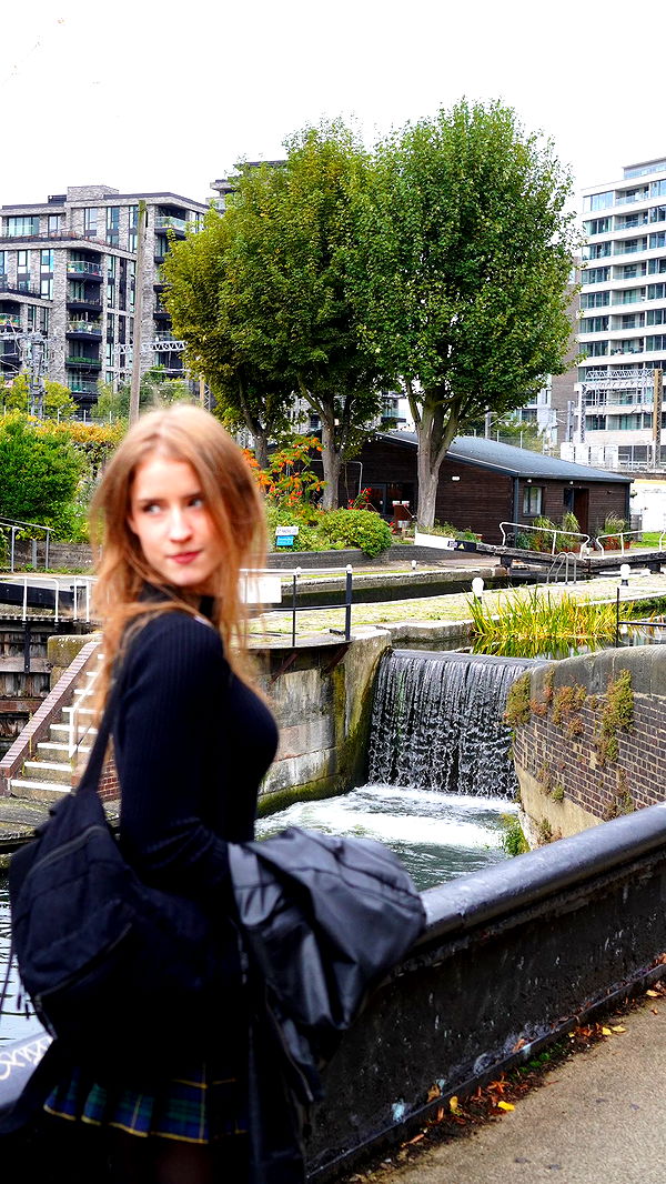 mira.0004 image ~ Altpins