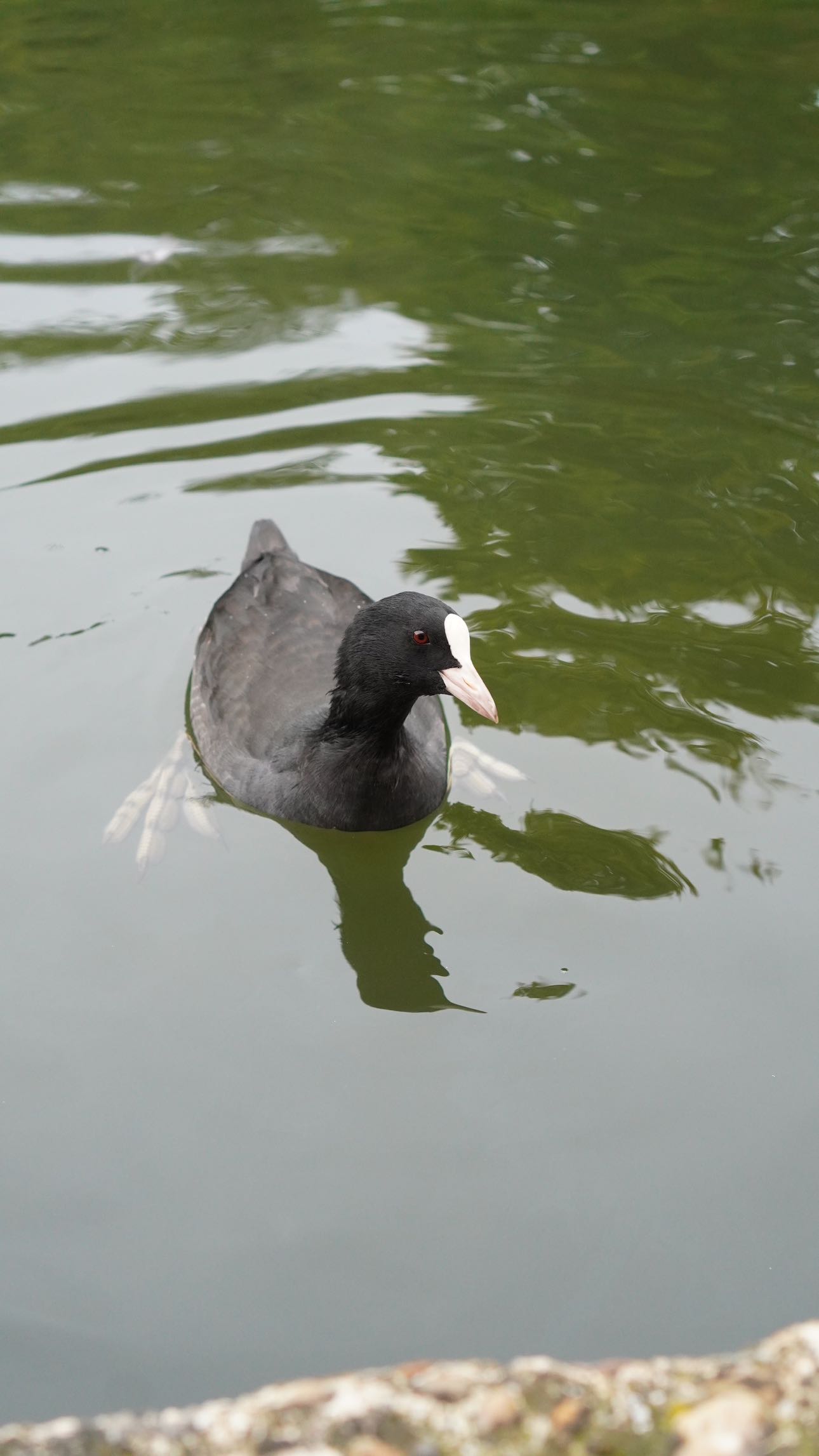 mira.0004 snapchat image archive image