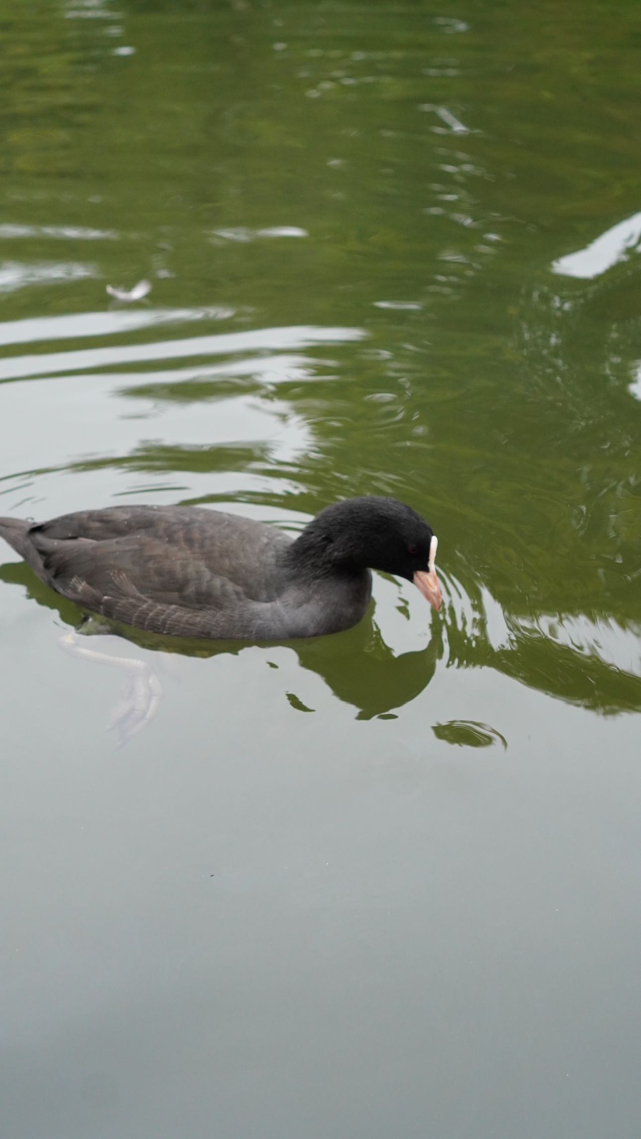 mira.0004 snapchat image archive image