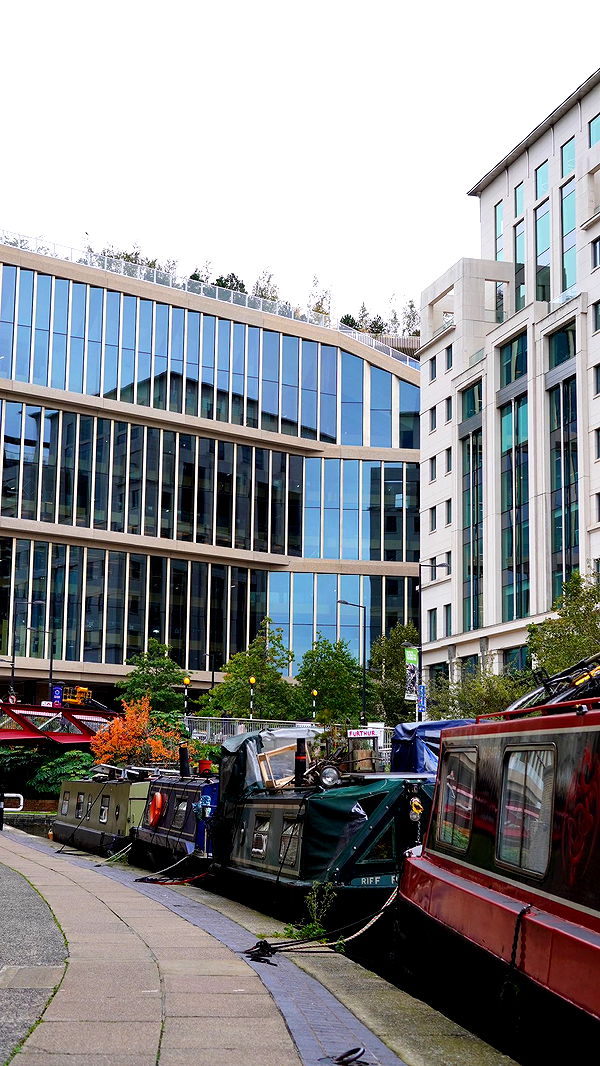 mira.0004 image ~ Altpins