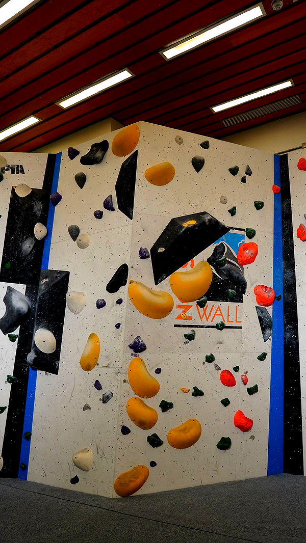 mira.0004 image ~ Altpins