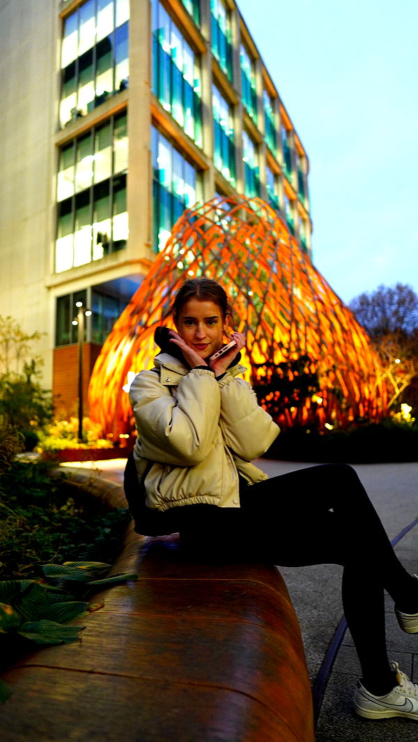 mira.0004 image ~ Altpins