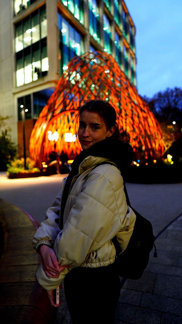 mira.0004 image ~ Altpins