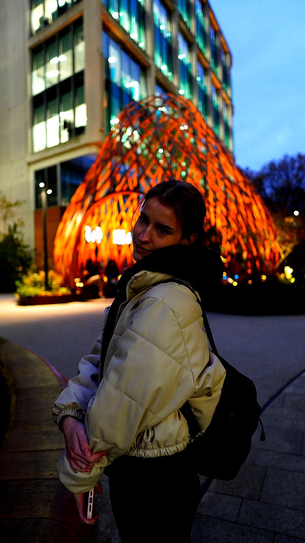 mira.0004 image ~ Altpins