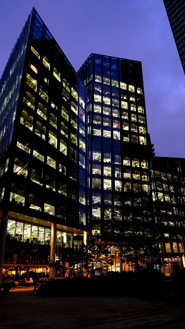 mira.0004 image ~ Altpins