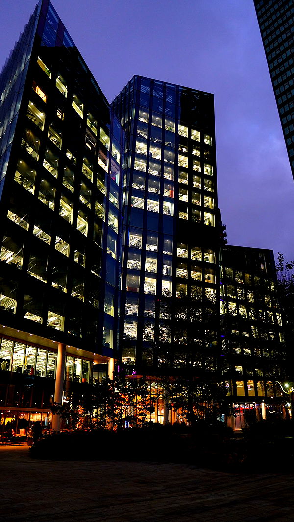 mira.0004 image ~ Altpins