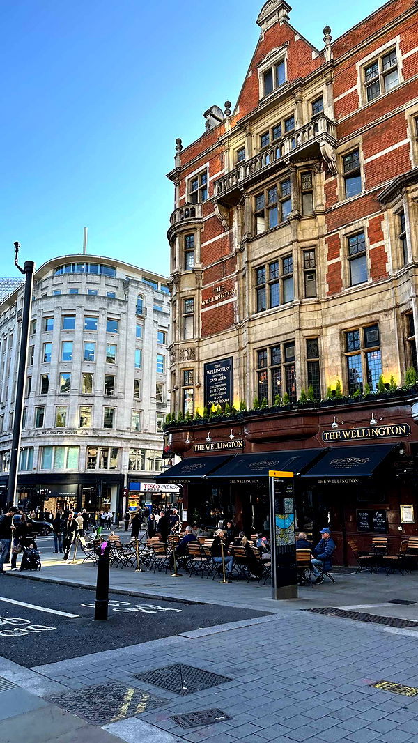 mira.0004 image ~ Altpins