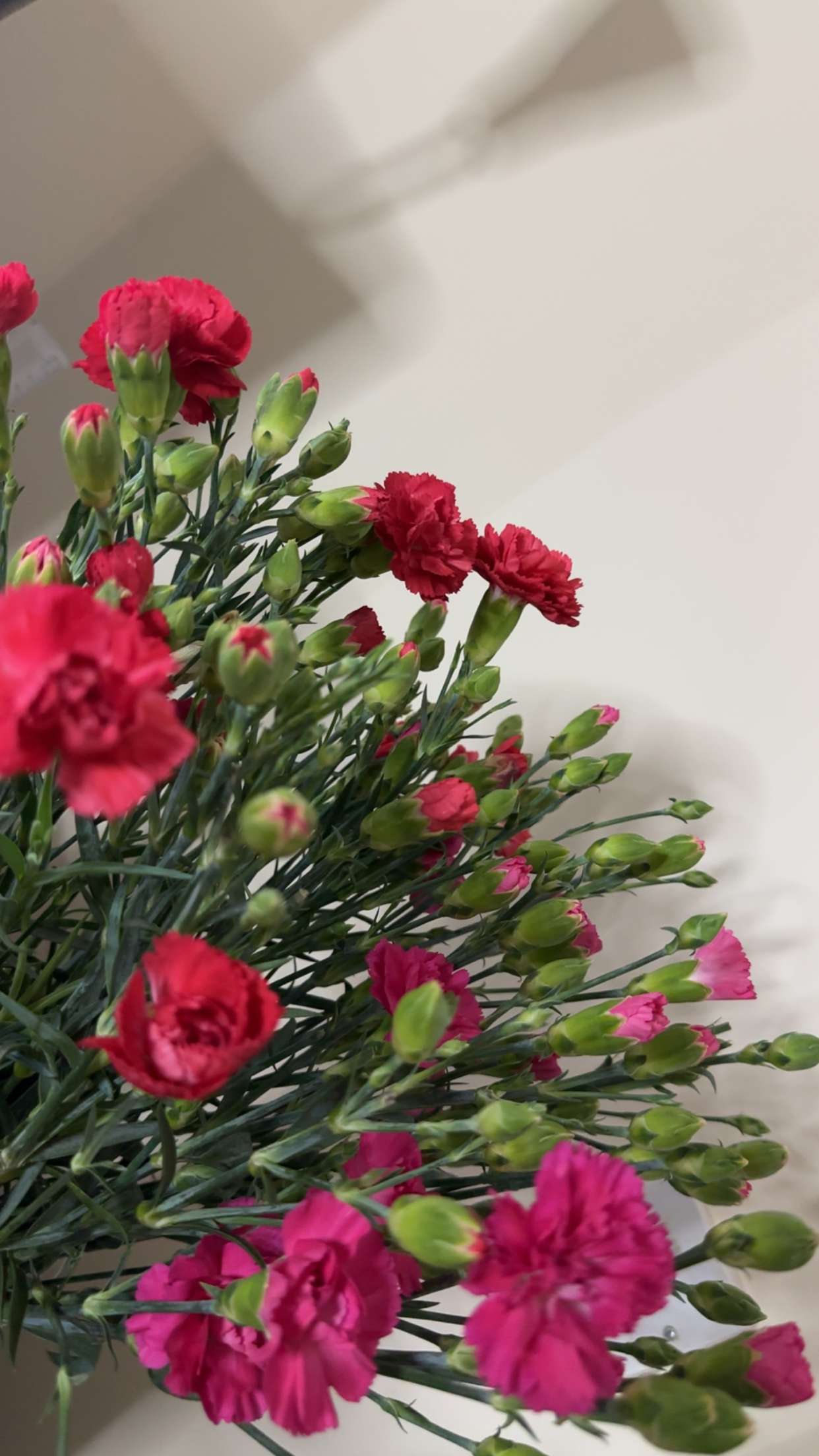 mira.0004 snapchat image archive image