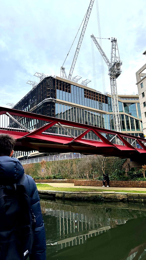 mira.0004 image ~ Altpins