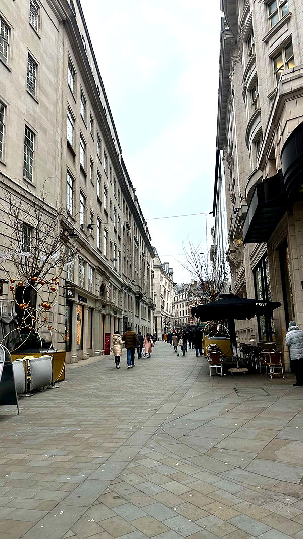 mira.0004 image ~ Altpins