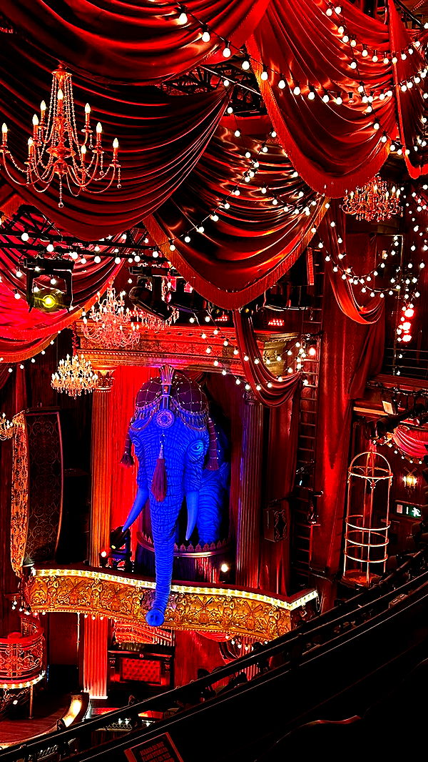 mira.0004 image ~ Altpins