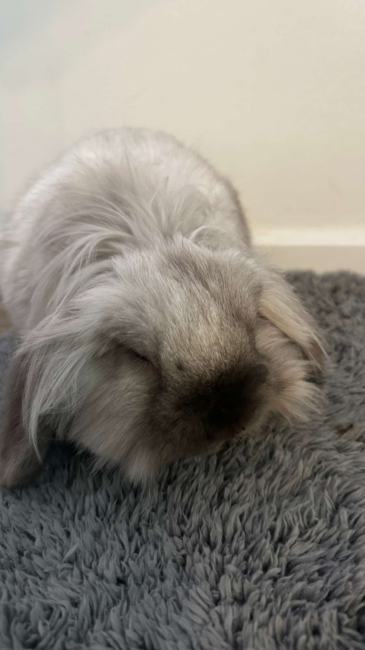 mira.0004 snapchat image archive image