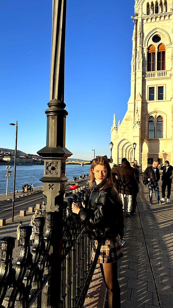 mira.0004 image ~ Altpins