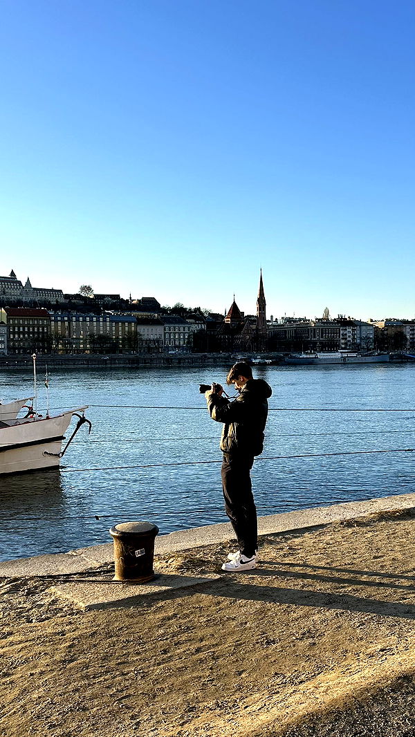 mira.0004 image ~ Altpins