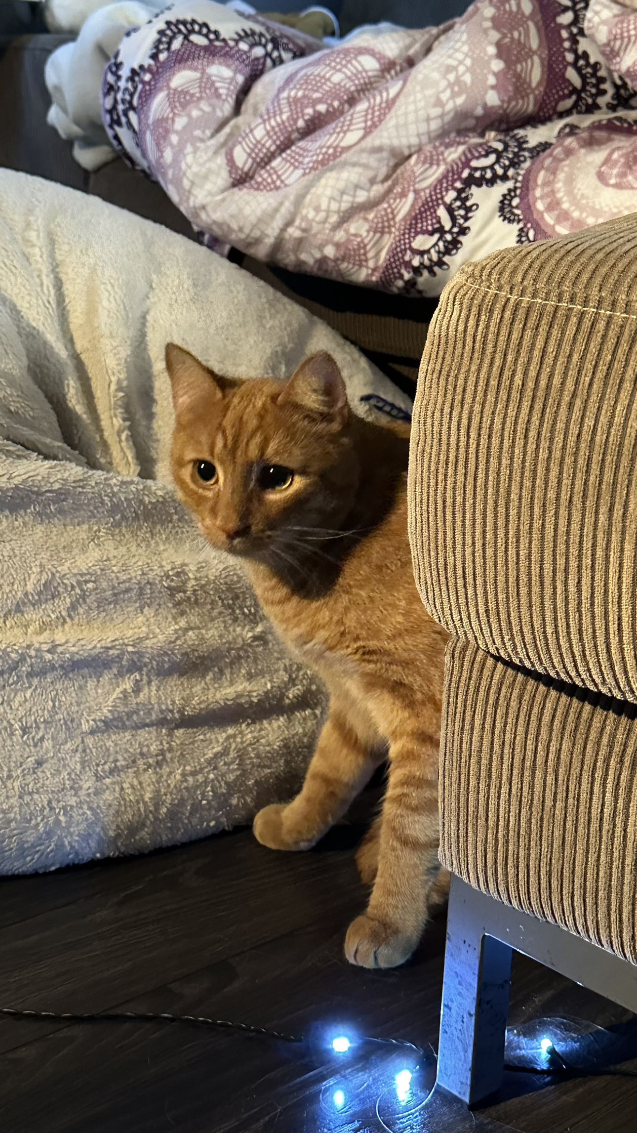 mira.0004 snapchat image archive image