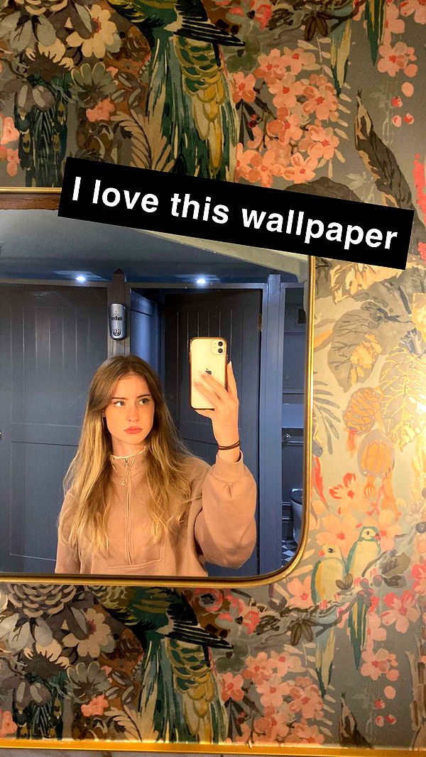 mira.0004 image ~ Altpins