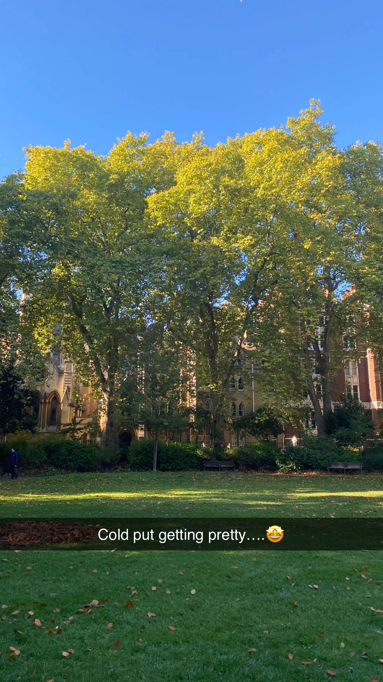 mira.0004 snapchat image archive image