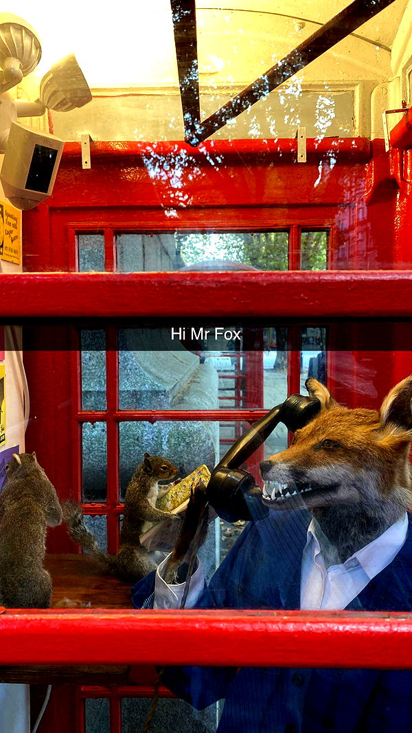 mira.0004 image ~ Altpins