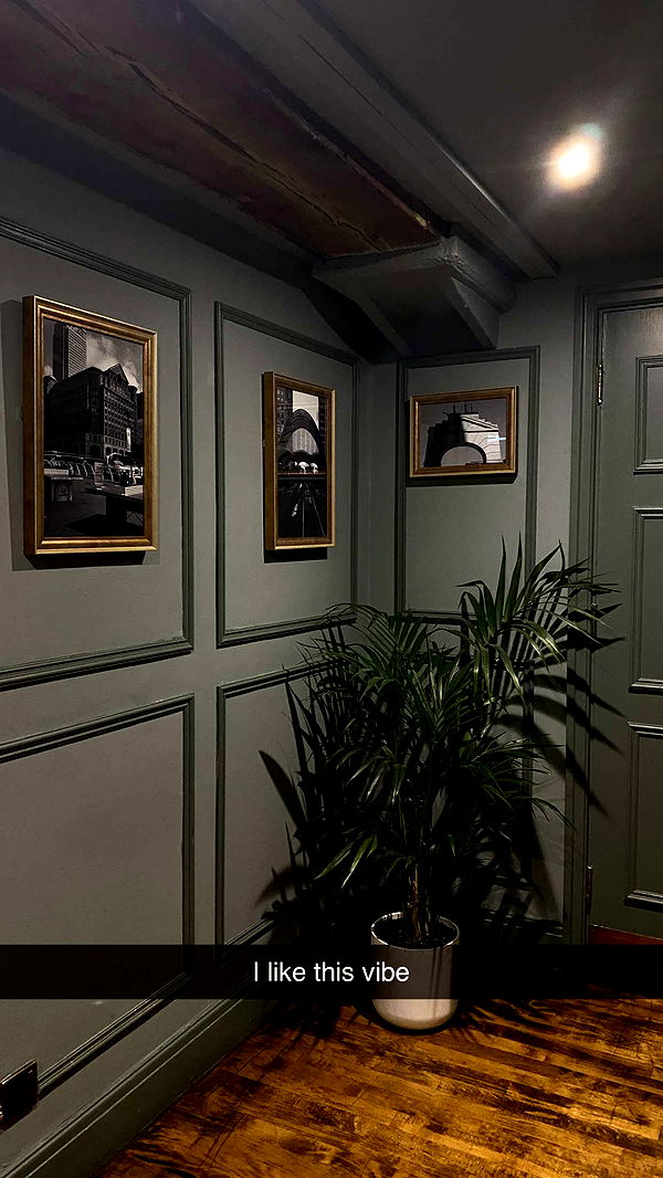 mira.0004 image ~ Altpins