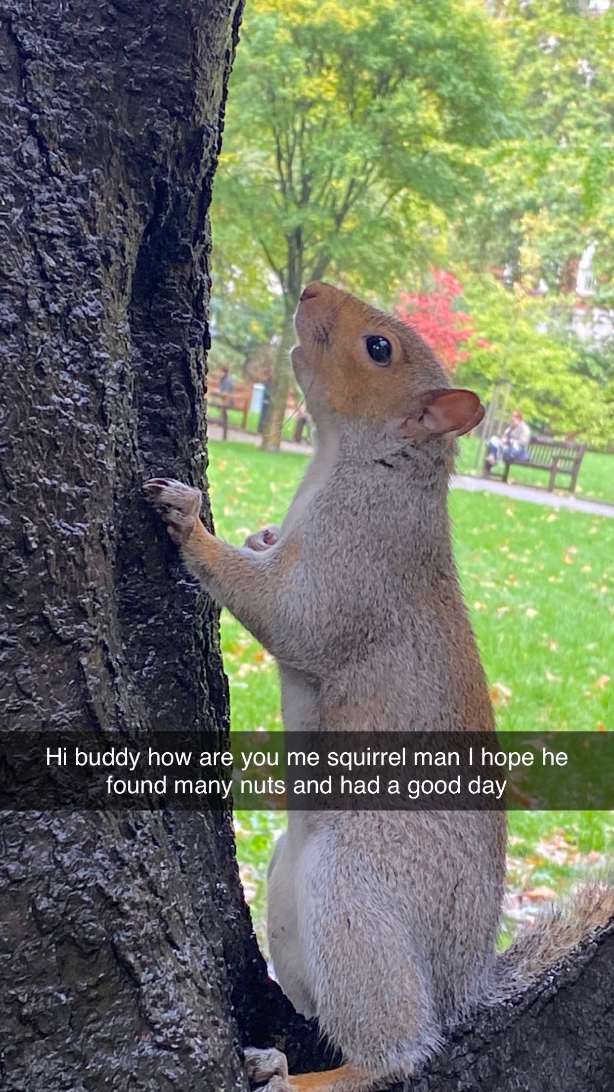 mira.0004 snapchat image archive image