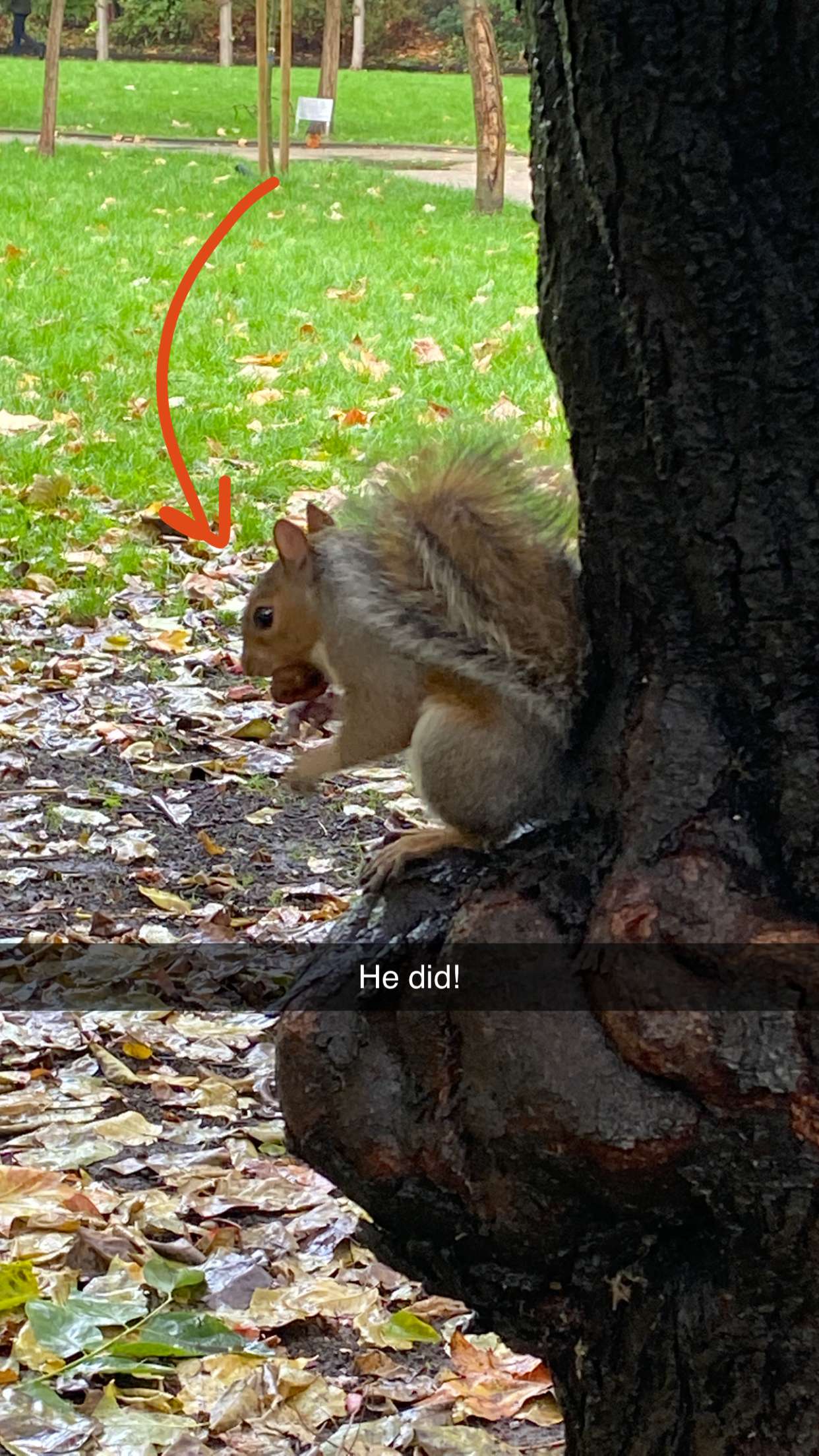 mira.0004 snapchat image archive image