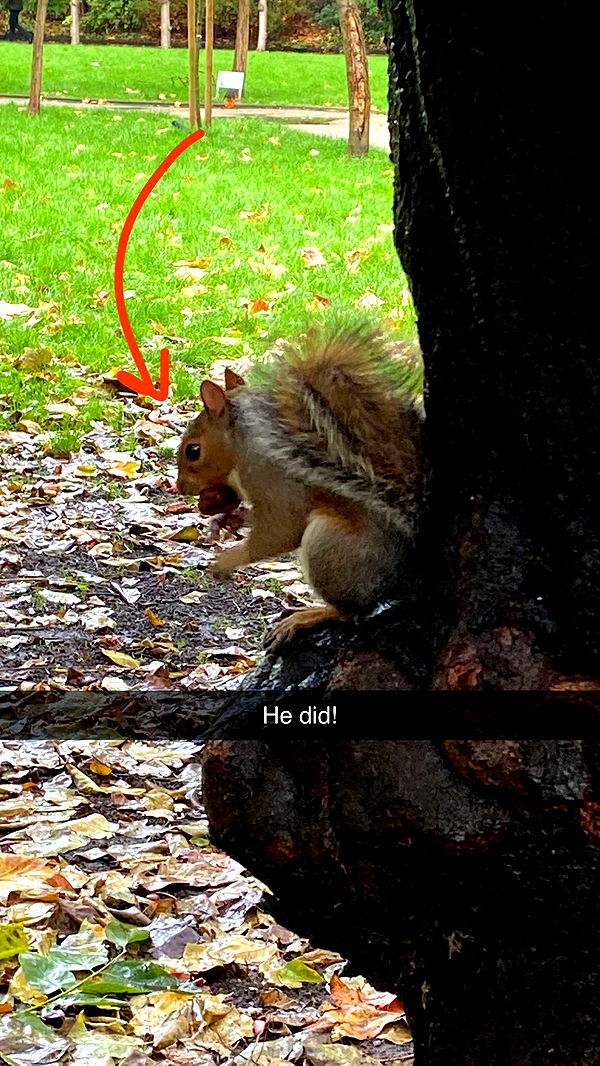 mira.0004 image ~ Altpins