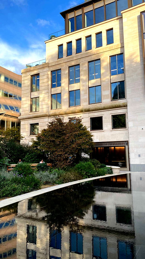 mira.0004 image ~ Altpins