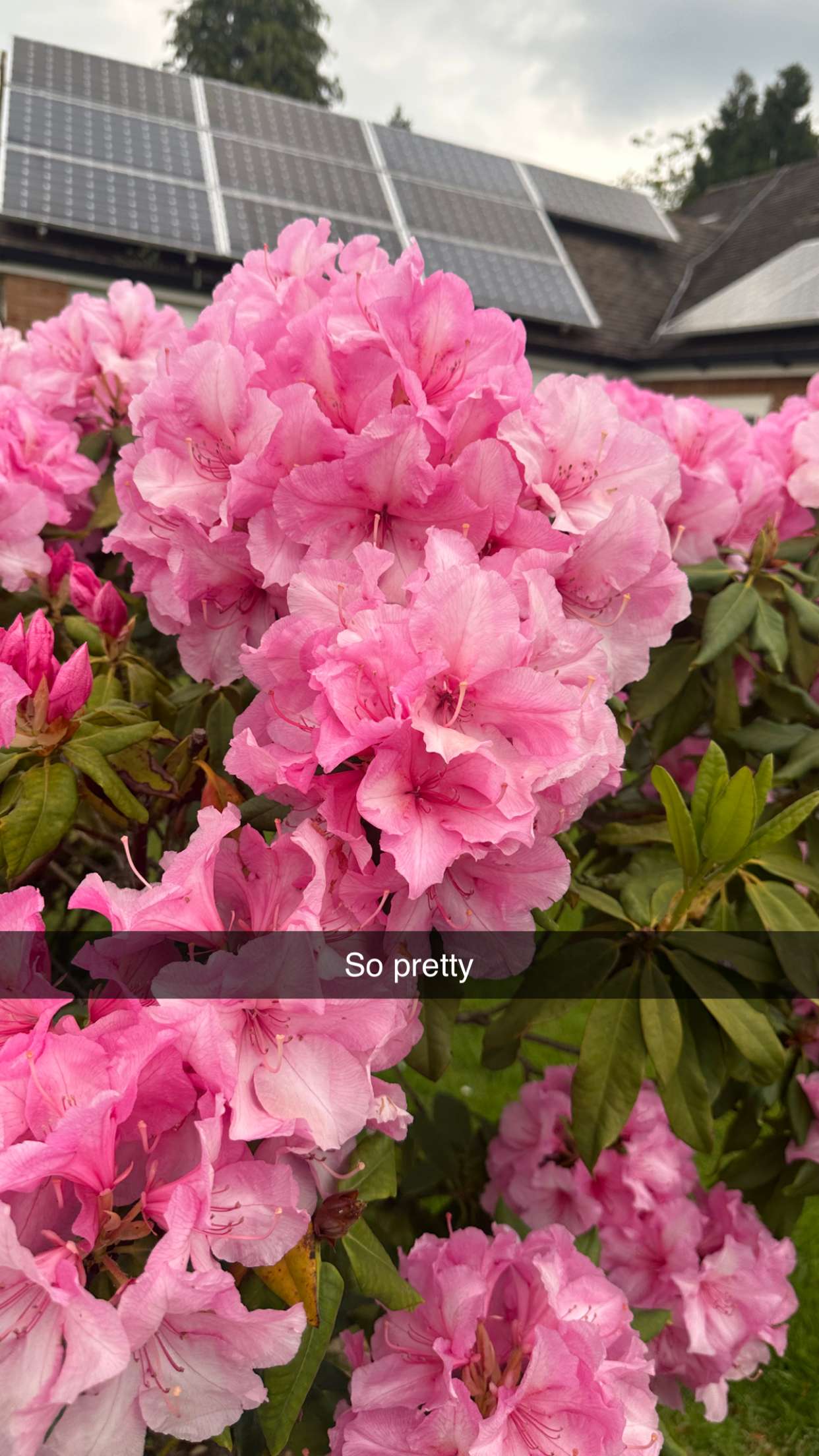 mira.0004 snapchat image archive image