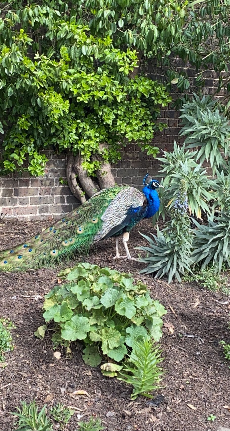 mira.0004 snapchat image archive image