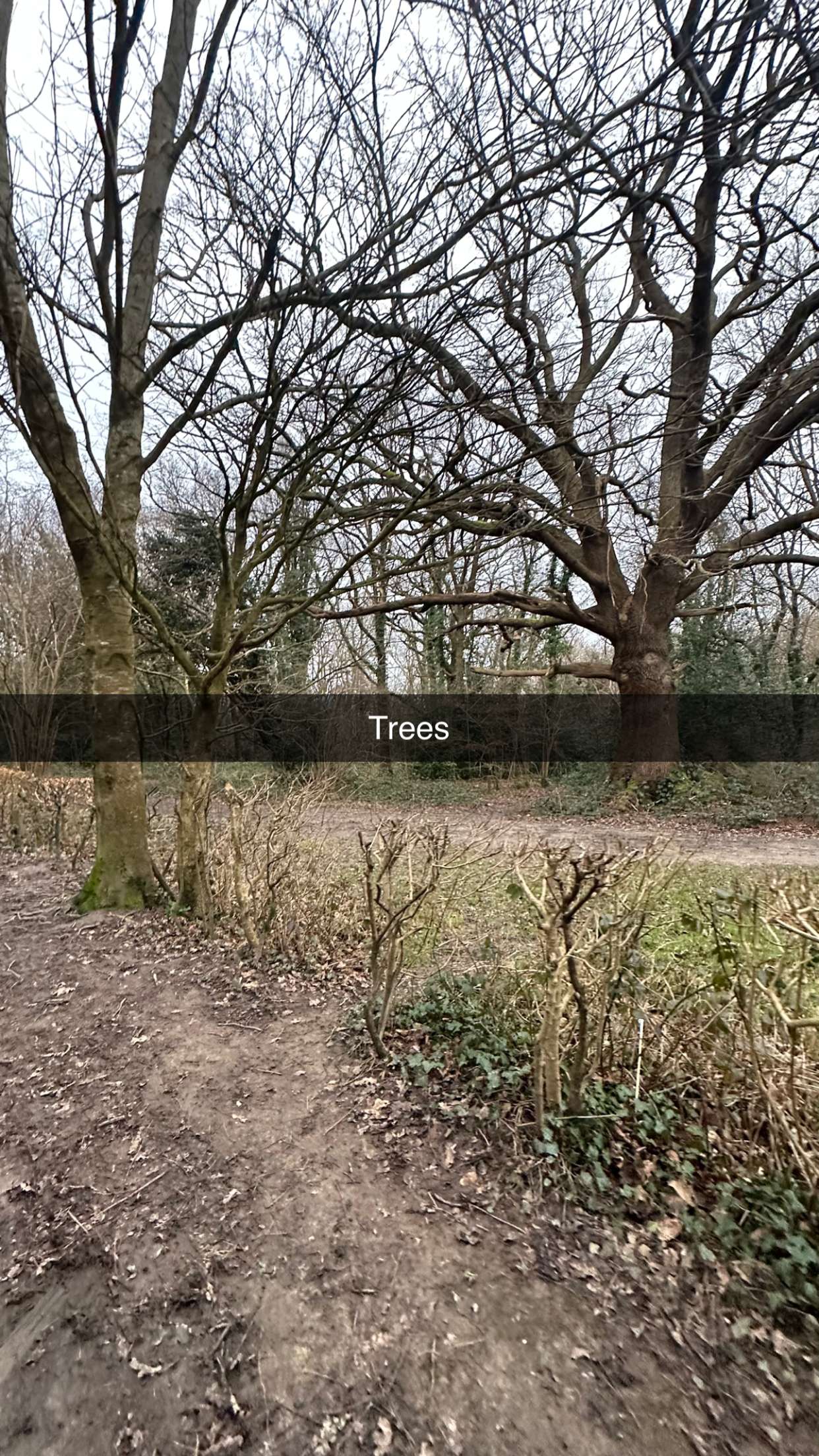 mira.0004 snapchat image archive image