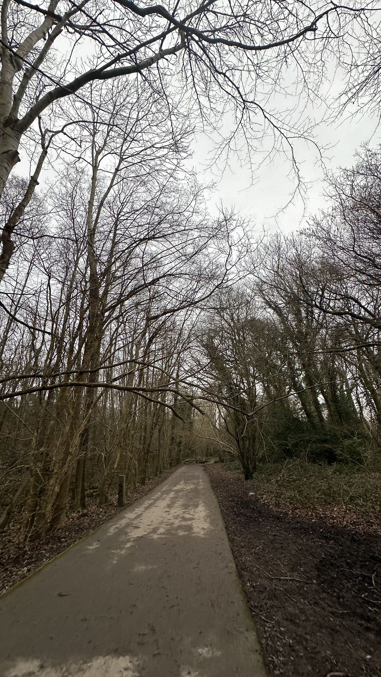 mira.0004 snapchat image archive image