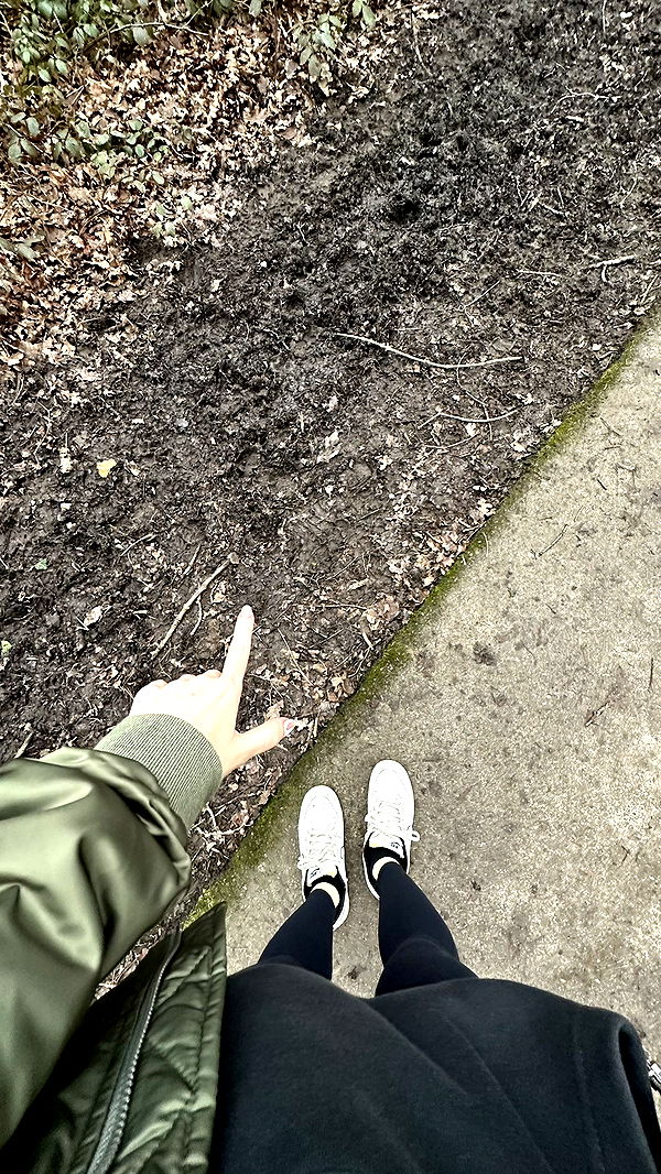 mira.0004 image ~ Altpins