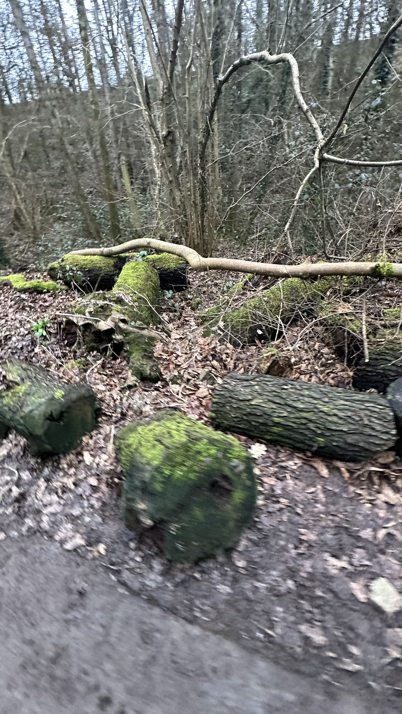 mira.0004 snapchat image archive image