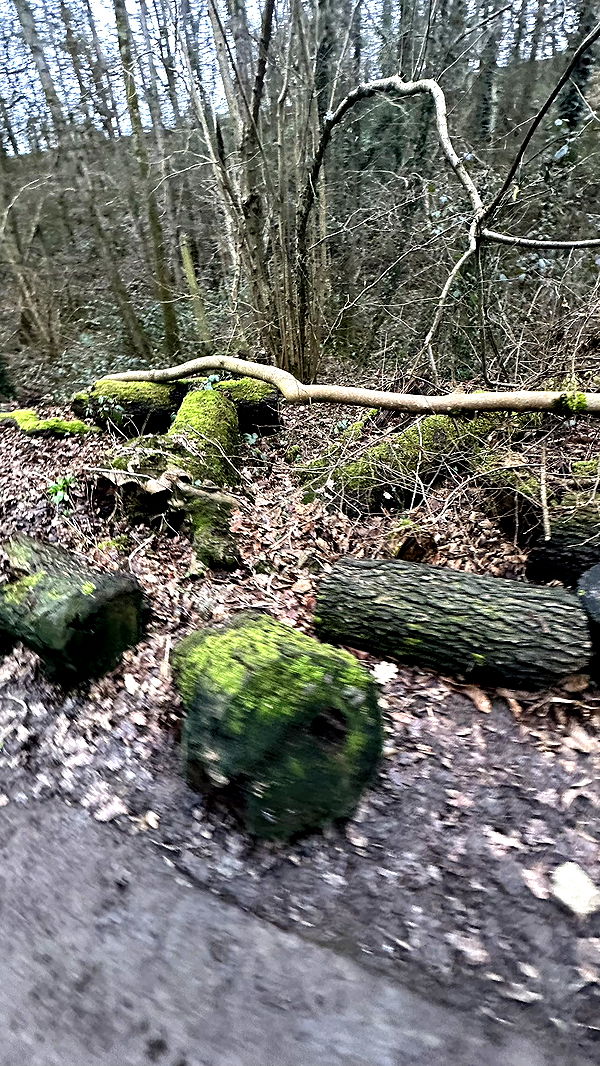 mira.0004 image ~ Altpins