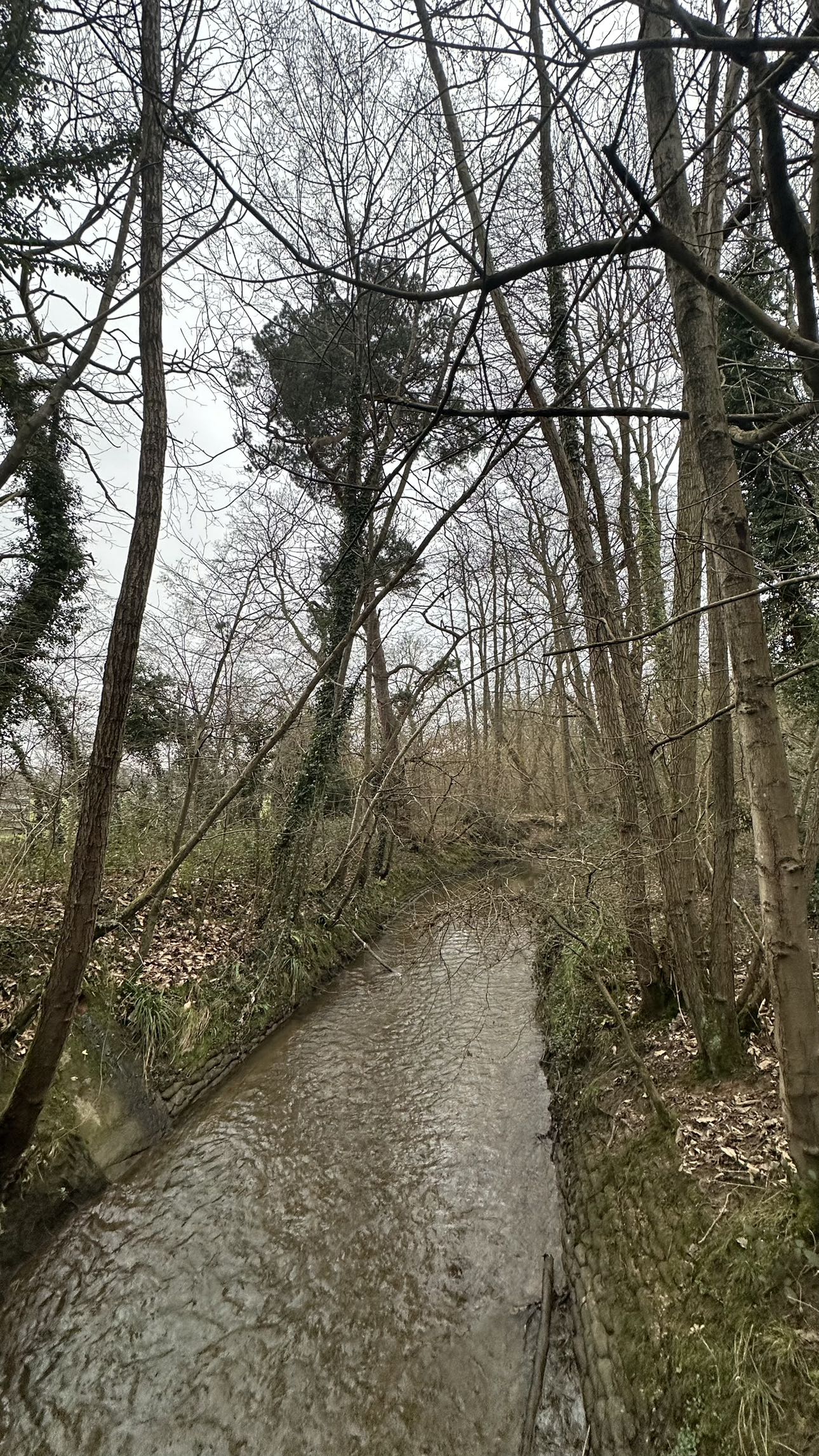 mira.0004 snapchat image archive image