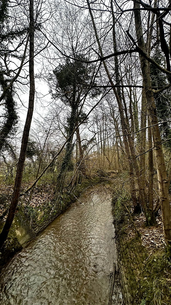 mira.0004 image ~ Altpins